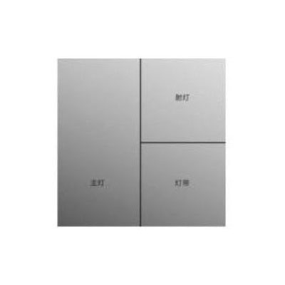 主控射灯+灯带