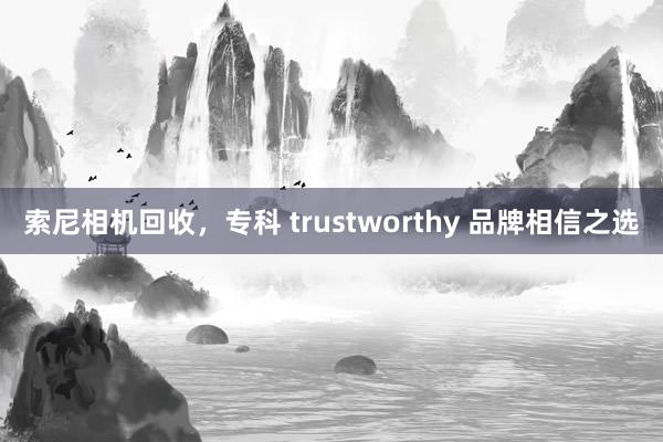 索尼相机回收，专科 trustworthy 品牌相信之选